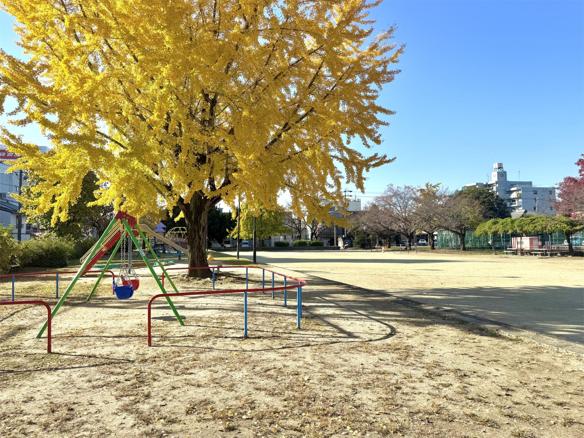 児玉公園