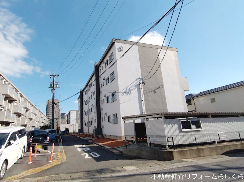 現地写真