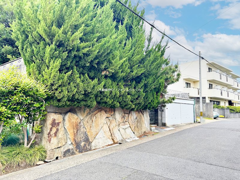 現地写真