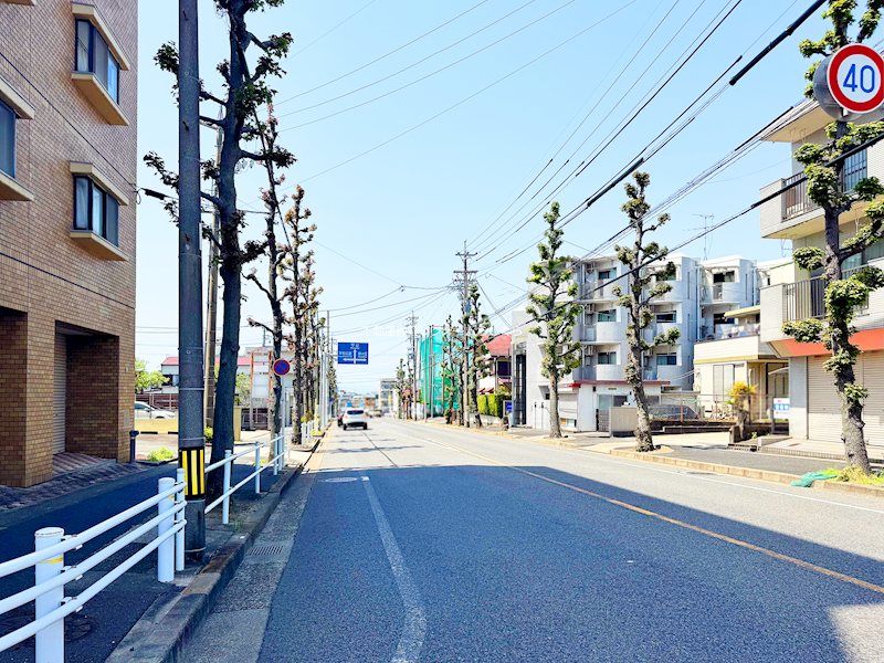 現地写真（その他）
