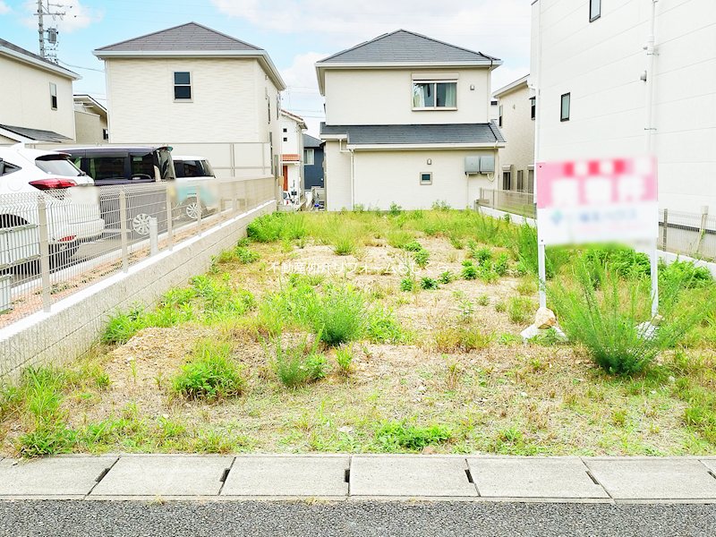 現地写真