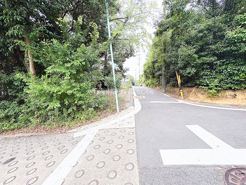 現地写真（前面道路含む現地写真）