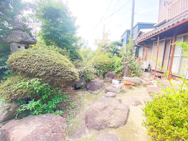 現地写真