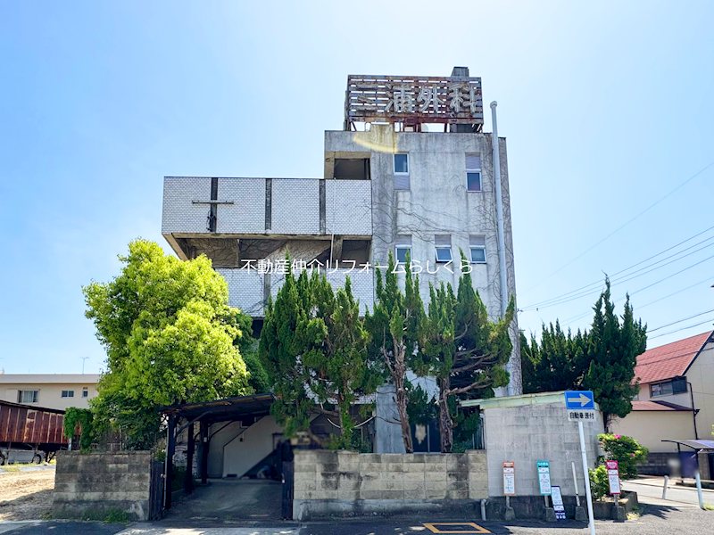 現地写真