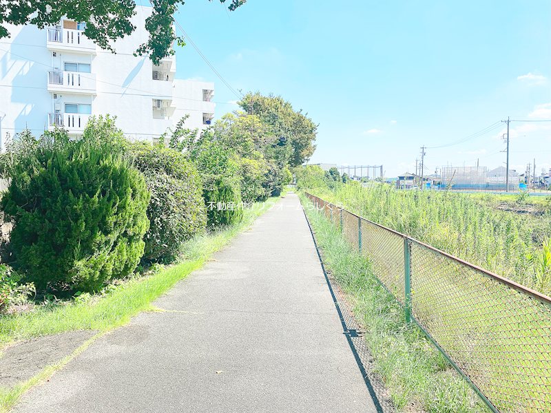 現地写真（その他）