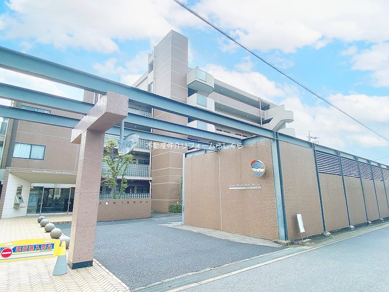現地写真