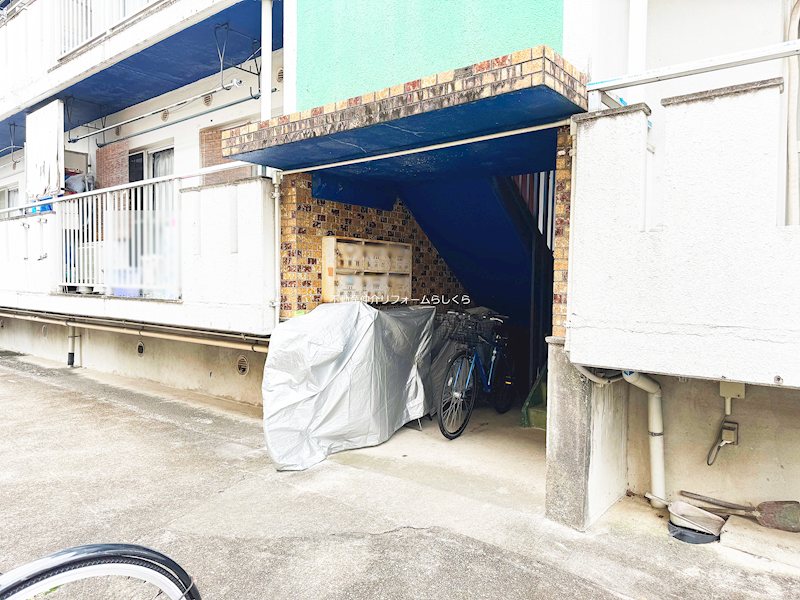 現地写真