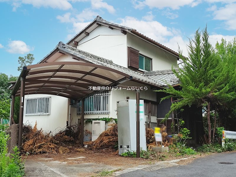 現地写真