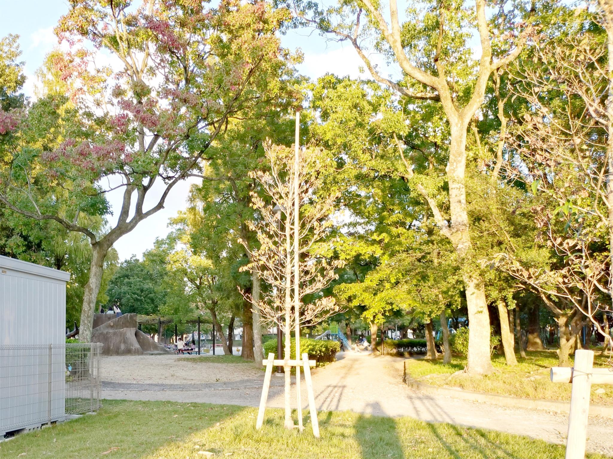 大森中央公園