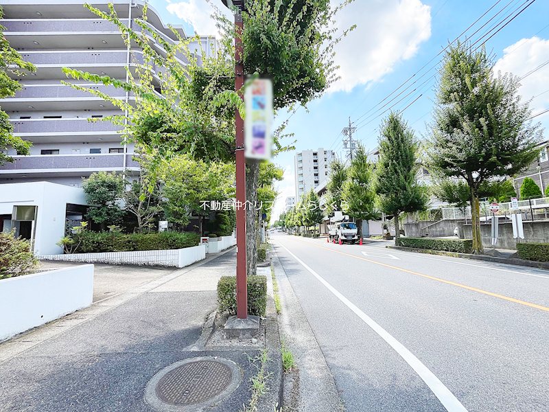 現地写真（その他）