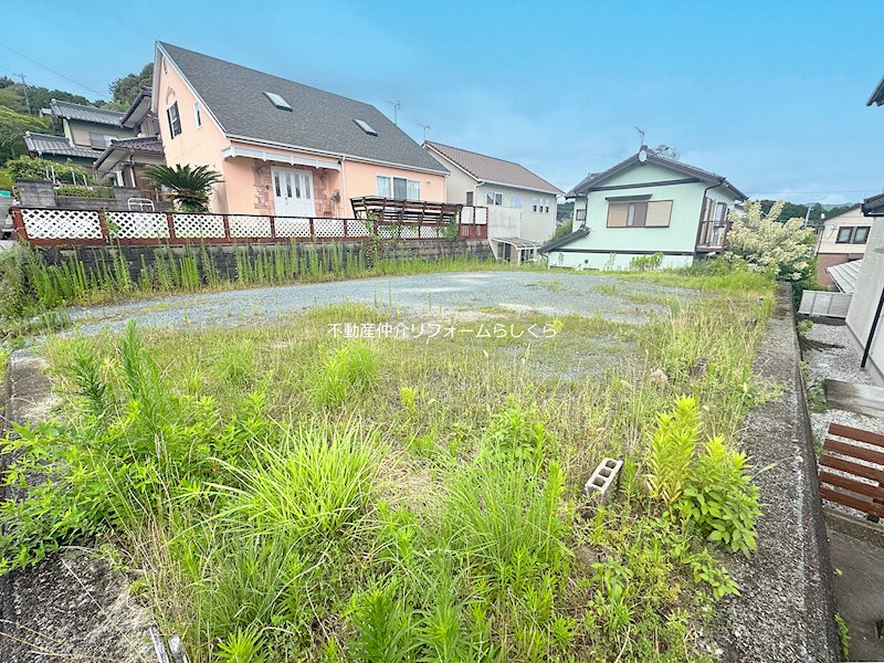 現地写真