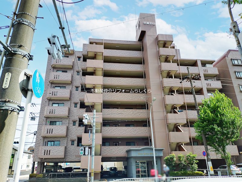 現地写真