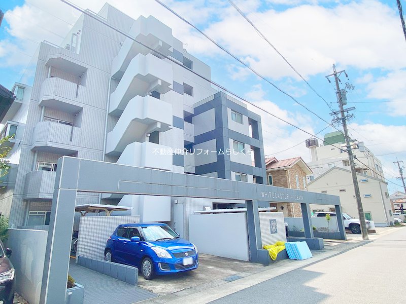 現地写真