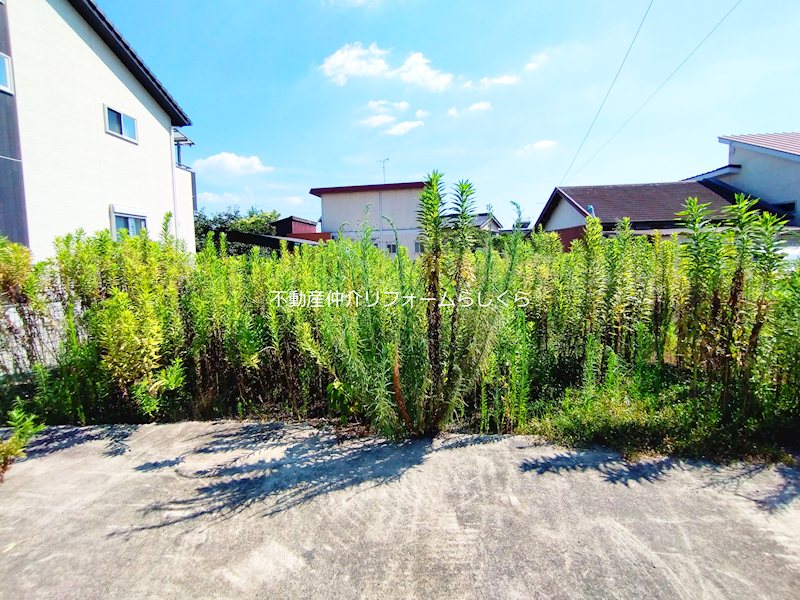 現地写真