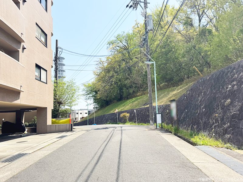 現地写真（その他）