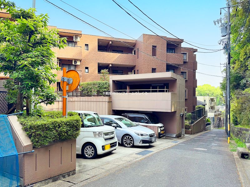 現地写真