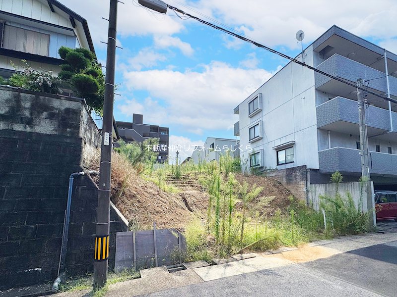 現地写真