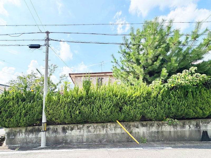 現地写真