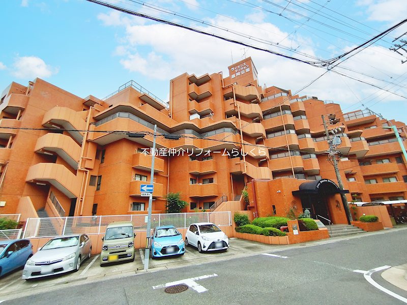 現地写真