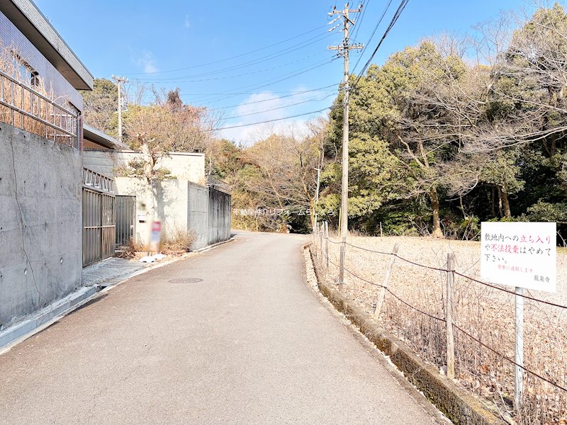 現地写真（前面道路含む現地写真）