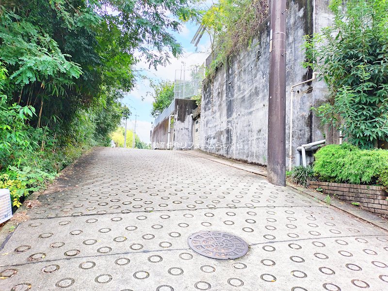 現地写真（前面道路含む現地写真）