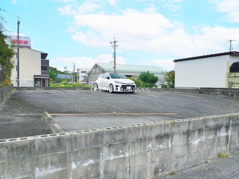 現地写真