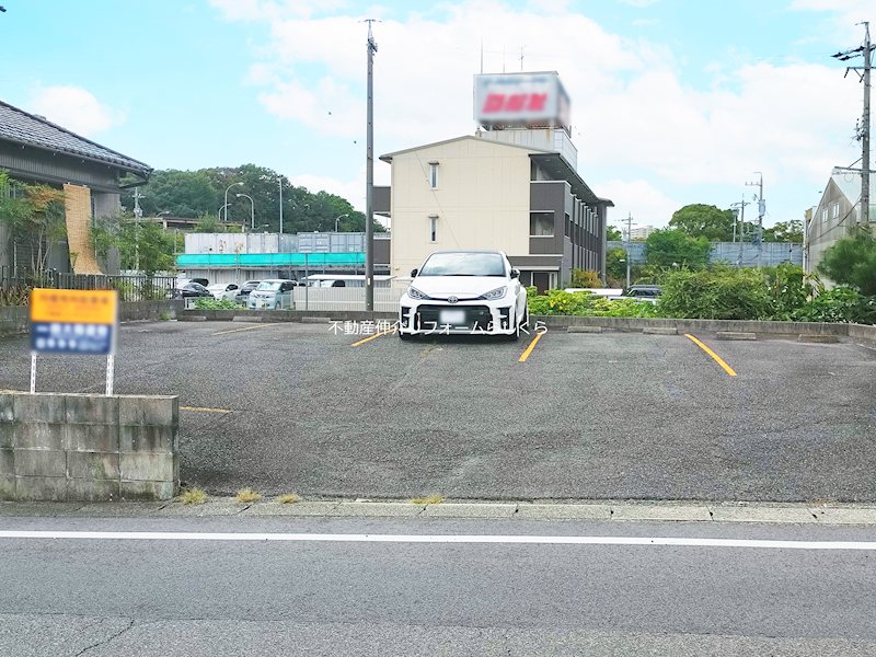 現地写真