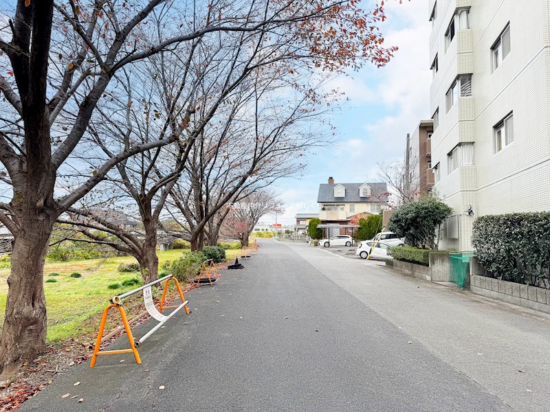 現地写真（その他）