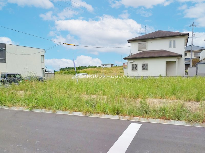 現地写真