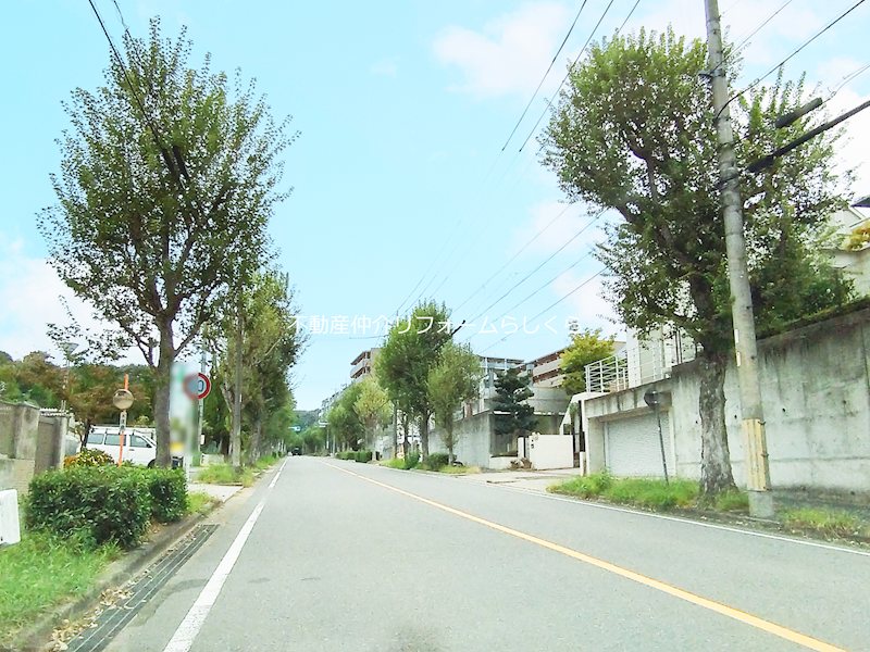 現地写真（その他）