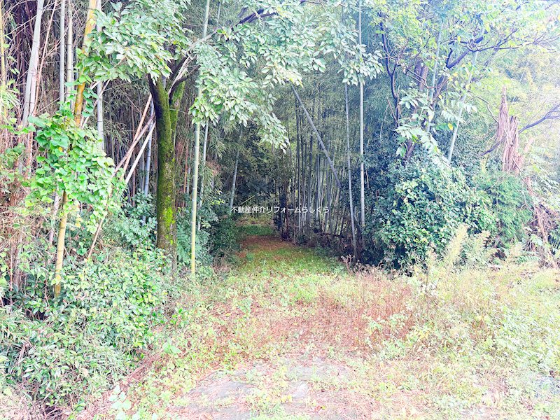 現地写真