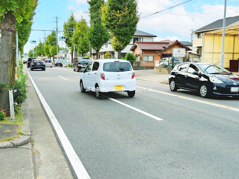 現地写真（その他）