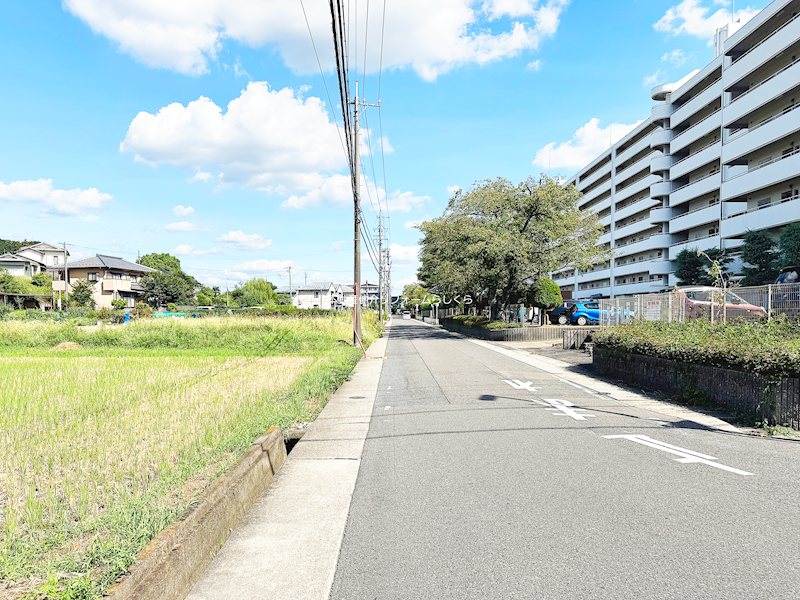 現地写真（その他）