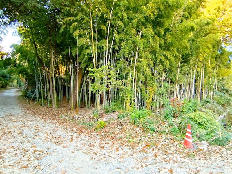 名古屋市名東区藤巻町3丁目 土地