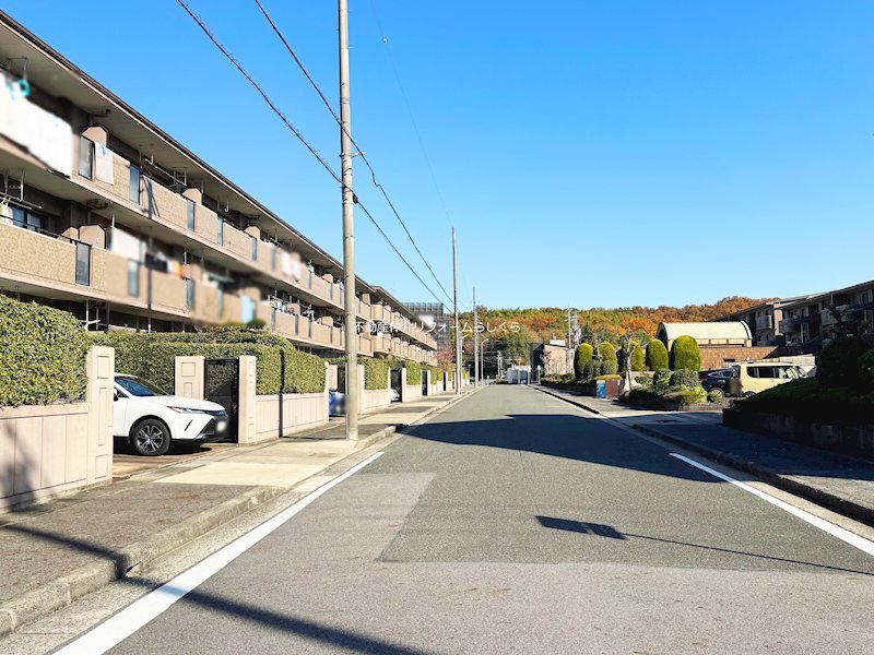 現地写真（その他）