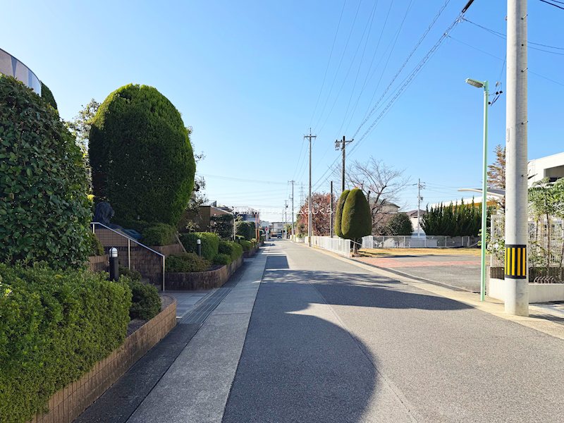 現地写真（その他）