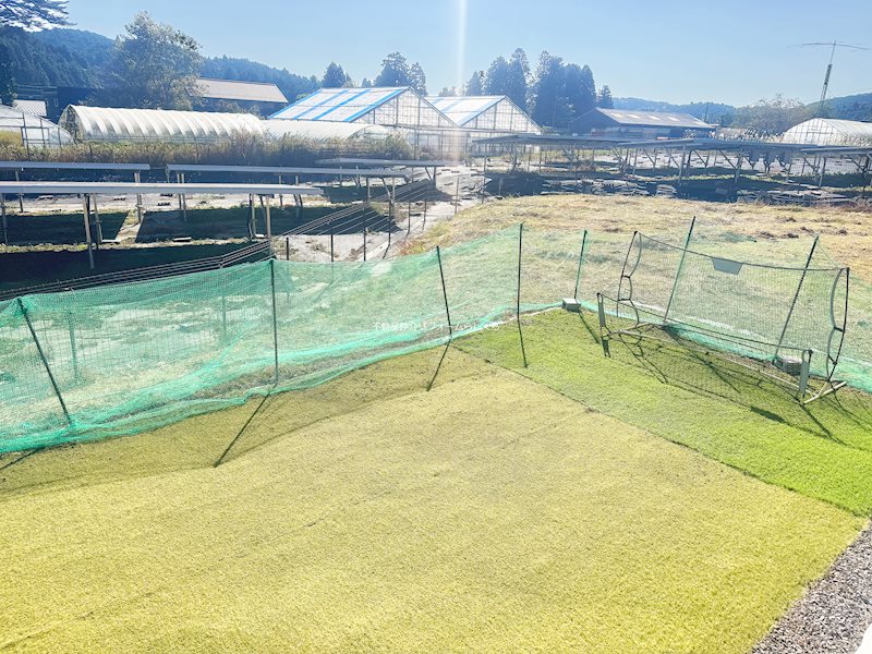 現地写真（庭）