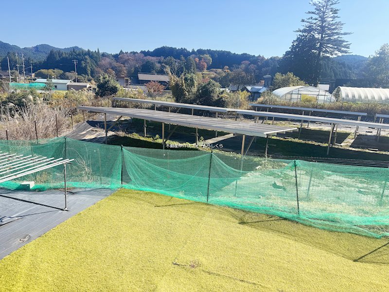 現地写真（庭）