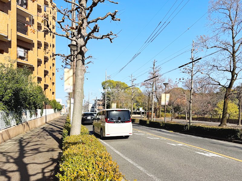 現地写真（その他）