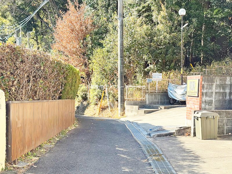 現地写真（その他）