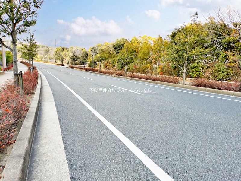 現地写真（その他）