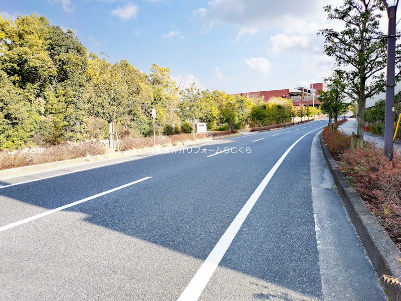 現地写真（その他）