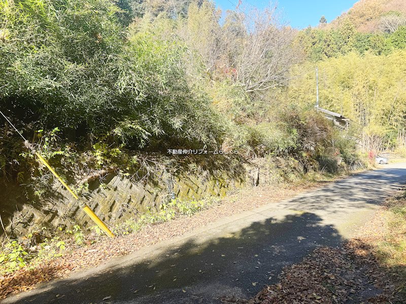 現地写真（前面道路含む現地写真）