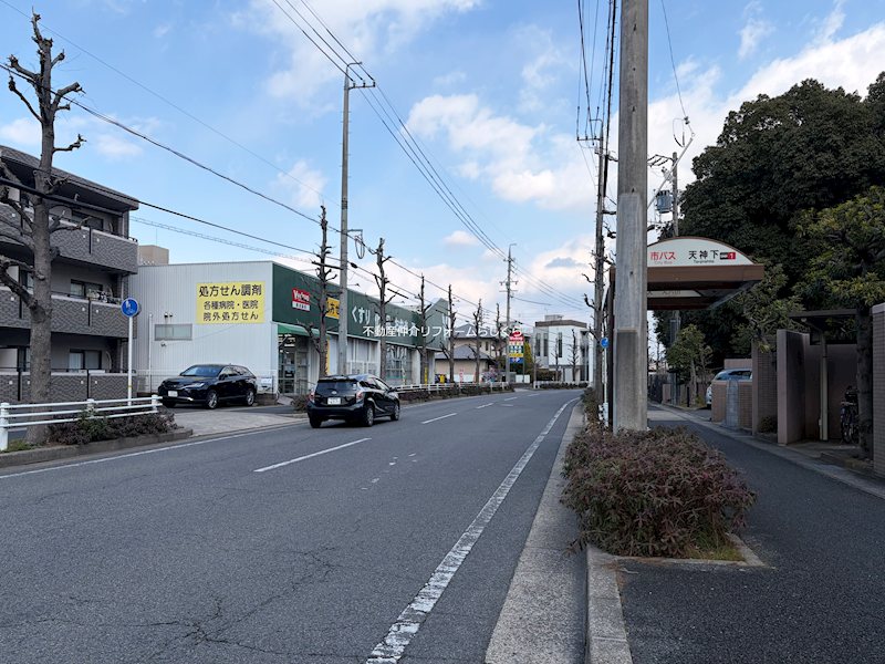 現地写真（その他）