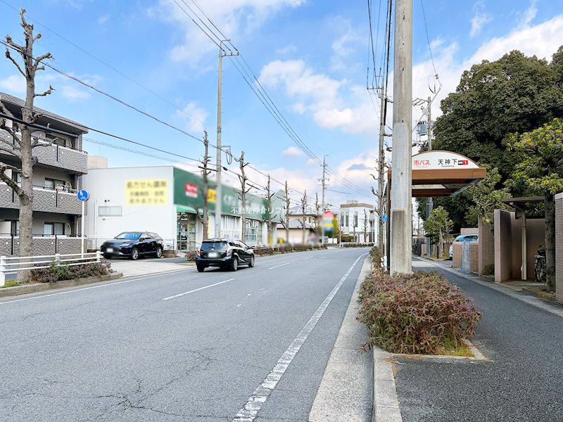 現地写真（その他）