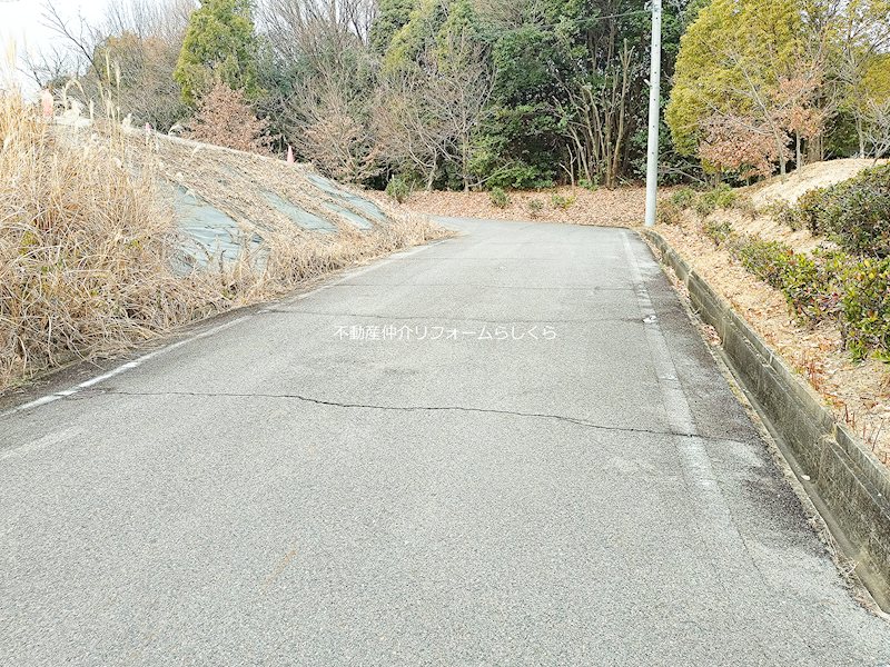 現地写真（前面道路含む現地写真）