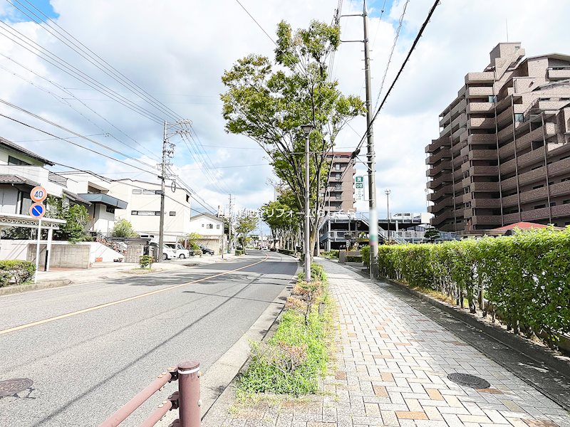 現地写真（その他）