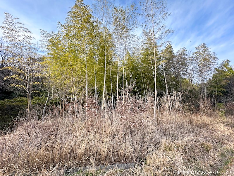 日進市三本木町大根 土地