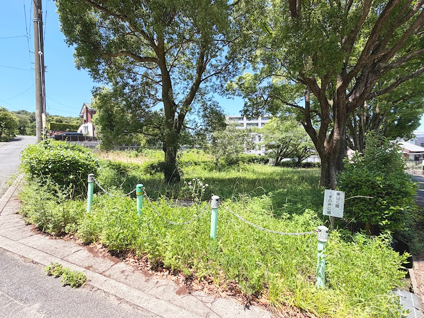 東山公園くすのき広場