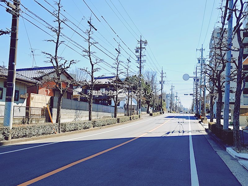 現地写真（その他）